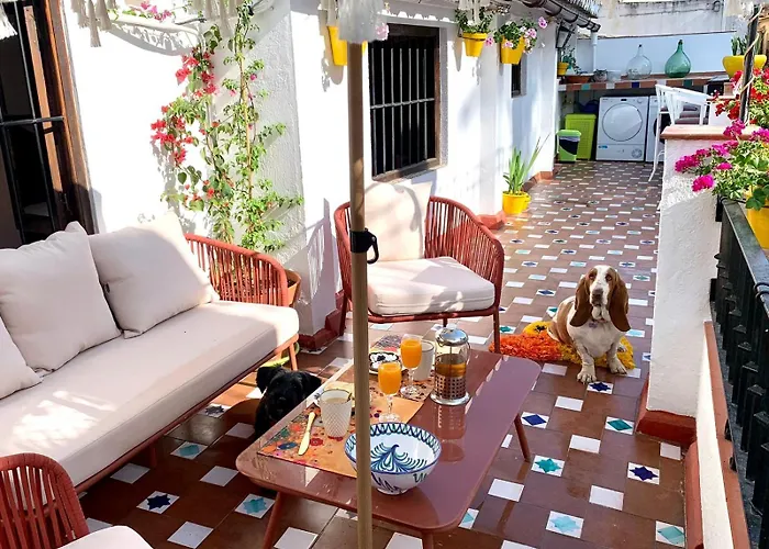 Casa Basilia Granada