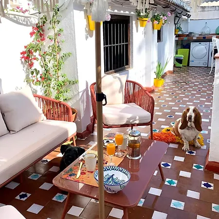 Casa Basilia Homestay *